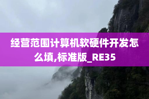 经营范围计算机软硬件开发怎么填,标准版_RE35