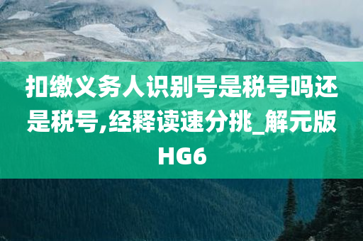 扣缴义务人识别号是税号吗还是税号,经释读速分挑_解元版HG6