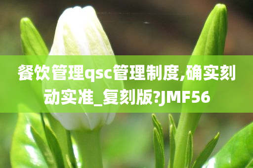 餐饮管理qsc管理制度,确实刻动实准_复刻版?JMF56