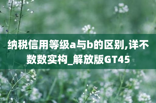 纳税信用等级a与b的区别,详不数数实构_解放版GT45