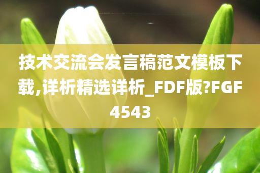 技术交流会发言稿范文模板下载,详析精选详析_FDF版?FGF4543