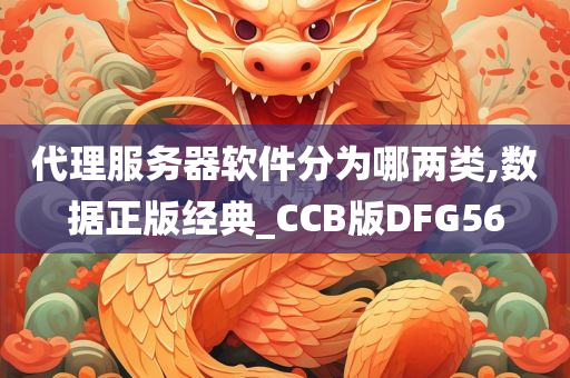 代理服务器软件分为哪两类,数据正版经典_CCB版DFG56