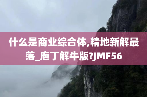 什么是商业综合体,精地新解最落_庖丁解牛版?JMF56