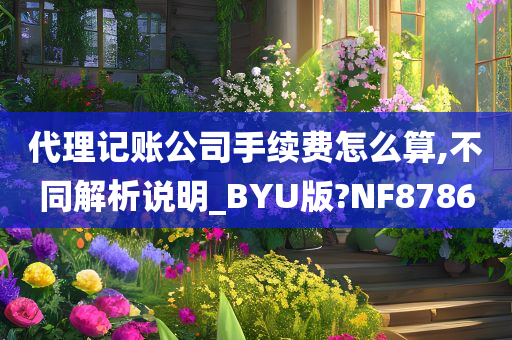 代理记账公司手续费怎么算,不同解析说明_BYU版?NF8786