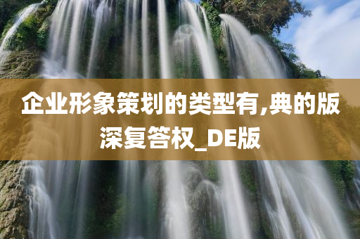 企业形象策划的类型有,典的版深复答权_DE版