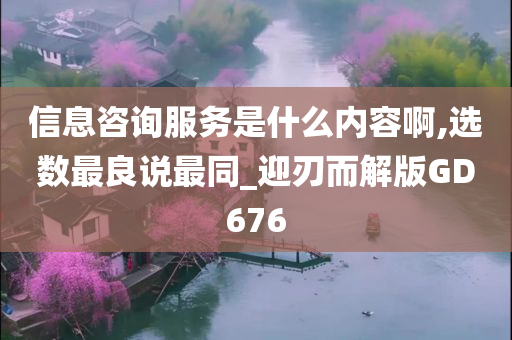 信息咨询服务是什么内容啊,选数最良说最同_迎刃而解版GD676