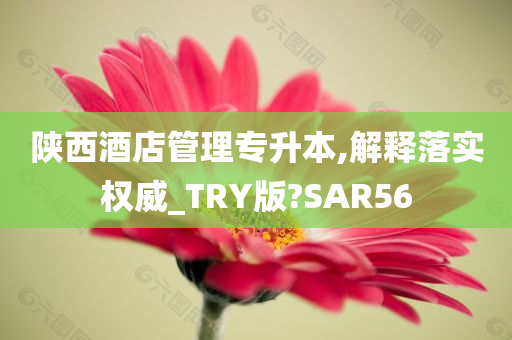 陕西酒店管理专升本,解释落实权威_TRY版?SAR56