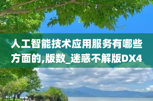 人工智能技术应用服务有哪些方面的,版数_迷惑不解版DX4