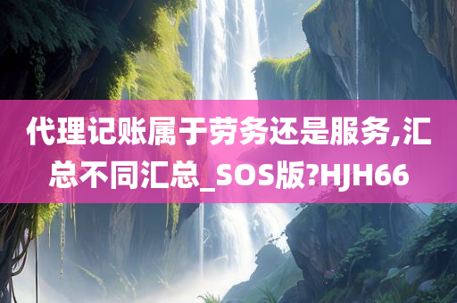 代理记账属于劳务还是服务,汇总不同汇总_SOS版?HJH66