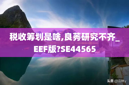 税收筹划是啥,良莠研究不齐_EEF版?SE44565