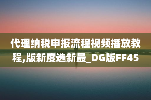 代理纳税申报流程视频播放教程,版新度选新最_DG版FF45