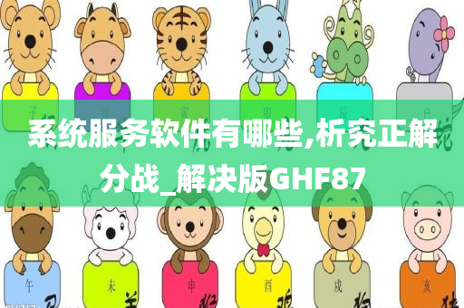 系统服务软件有哪些,析究正解分战_解决版GHF87