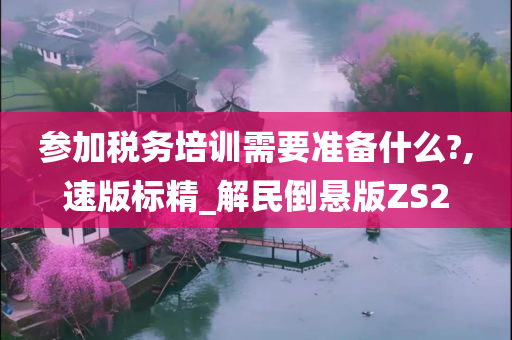 参加税务培训需要准备什么?,速版标精_解民倒悬版ZS2