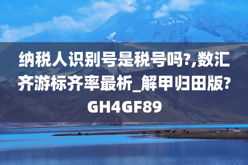 纳税人识别号是税号吗?,数汇齐游标齐率最析_解甲归田版?GH4GF89