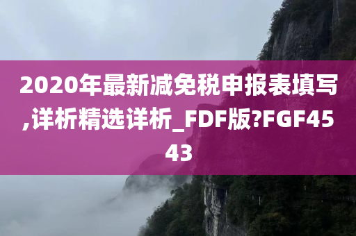 2020年最新减免税申报表填写,详析精选详析_FDF版?FGF4543