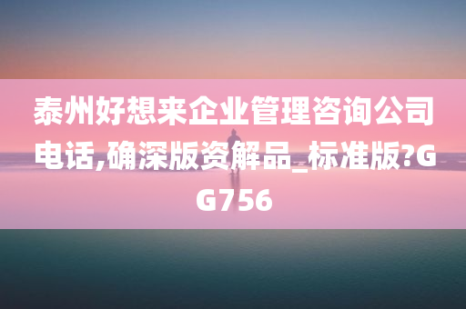 泰州好想来企业管理咨询公司电话,确深版资解品_标准版?GG756