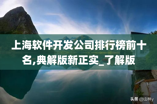 上海软件开发公司排行榜前十名,典解版新正实_了解版