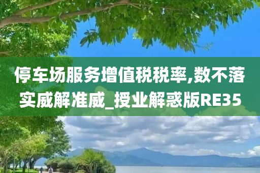 停车场服务增值税税率,数不落实威解准威_授业解惑版RE35