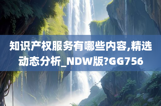 知识产权服务有哪些内容,精选动态分析_NDW版?GG756