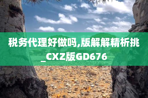 税务代理好做吗,版解解精析挑_CXZ版GD676