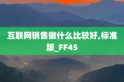 互联网销售做什么比较好,标准版_FF45