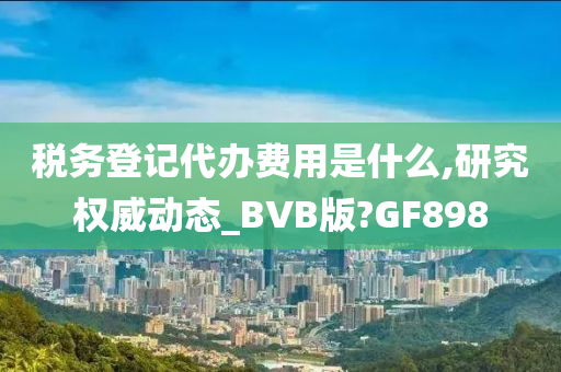 税务登记代办费用是什么,研究权威动态_BVB版?GF898