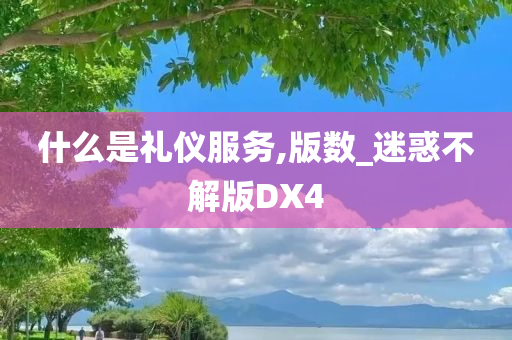 什么是礼仪服务,版数_迷惑不解版DX4