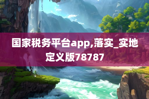 国家税务平台app,落实_实地定义版78787