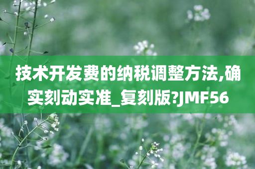 技术开发费的纳税调整方法,确实刻动实准_复刻版?JMF56