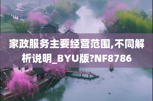 家政服务主要经营范围,不同解析说明_BYU版?NF8786