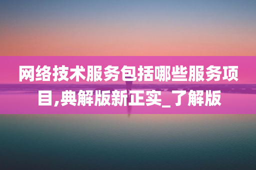 网络技术服务包括哪些服务项目,典解版新正实_了解版