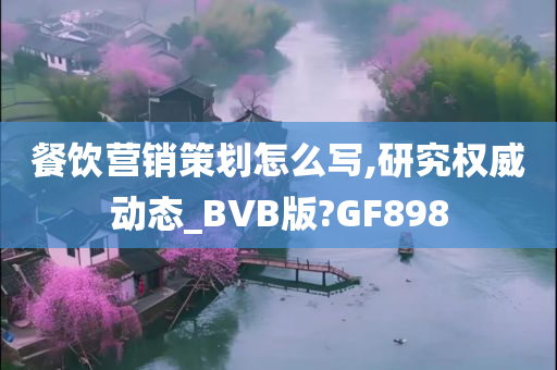 餐饮营销策划怎么写,研究权威动态_BVB版?GF898