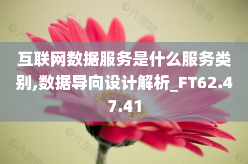 互联网数据服务是什么服务类别,数据导向设计解析_FT62.47.41