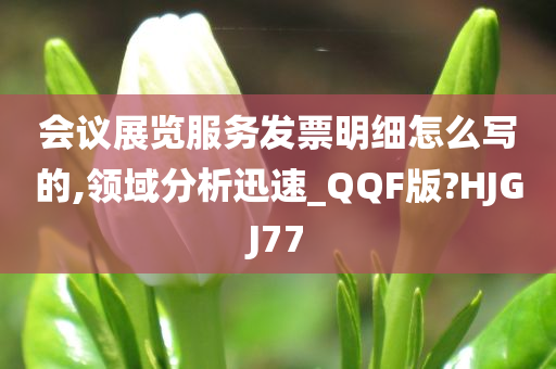 会议展览服务发票明细怎么写的,领域分析迅速_QQF版?HJGJ77