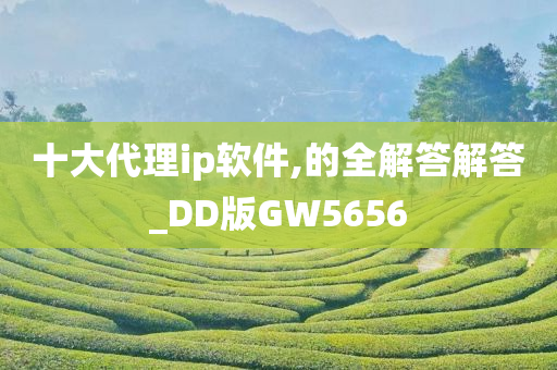 十大代理ip软件,的全解答解答_DD版GW5656