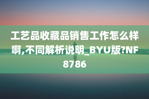 工艺品收藏品销售工作怎么样啊,不同解析说明_BYU版?NF8786