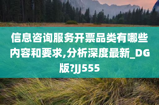 信息咨询服务开票品类有哪些内容和要求,分析深度最新_DG版?JJ555