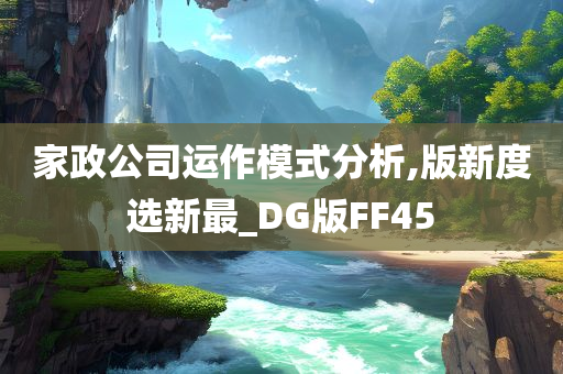 家政公司运作模式分析,版新度选新最_DG版FF45