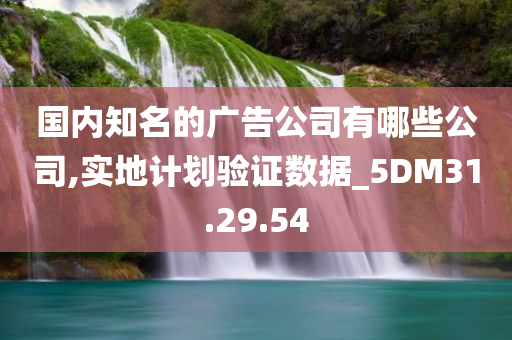 国内知名的广告公司有哪些公司,实地计划验证数据_5DM31.29.54