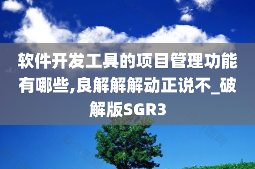 软件开发工具的项目管理功能有哪些,良解解解动正说不_破解版SGR3