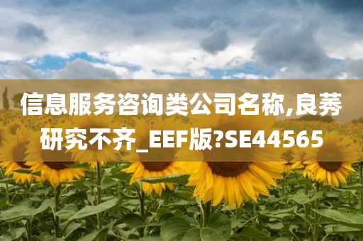 信息服务咨询类公司名称,良莠研究不齐_EEF版?SE44565