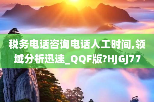 税务电话咨询电话人工时间,领域分析迅速_QQF版?HJGJ77