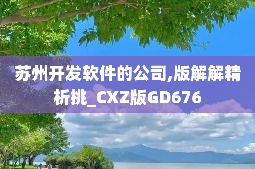 苏州开发软件的公司,版解解精析挑_CXZ版GD676