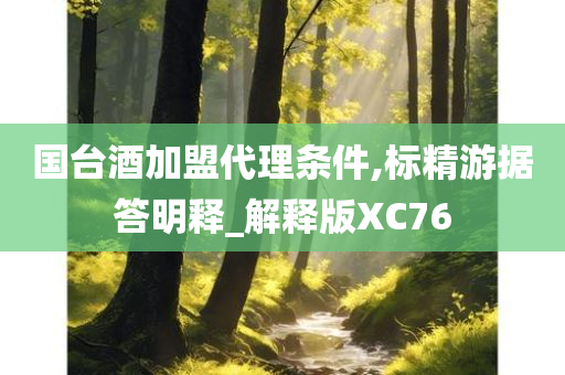 国台酒加盟代理条件,标精游据答明释_解释版XC76