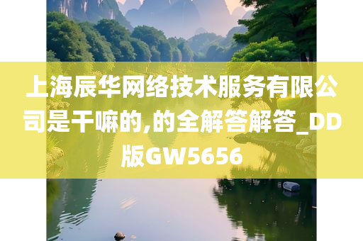 上海辰华网络技术服务有限公司是干嘛的,的全解答解答_DD版GW5656