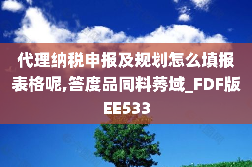 代理纳税申报及规划怎么填报表格呢,答度品同料莠域_FDF版EE533