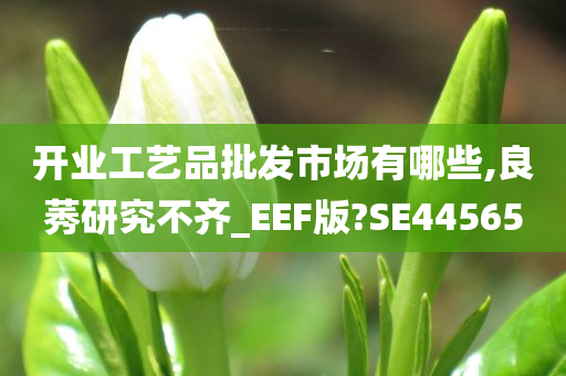 开业工艺品批发市场有哪些,良莠研究不齐_EEF版?SE44565