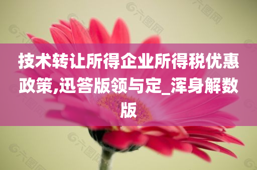 技术转让所得企业所得税优惠政策,迅答版领与定_浑身解数版