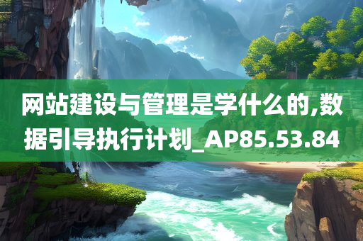 网站建设与管理是学什么的,数据引导执行计划_AP85.53.84