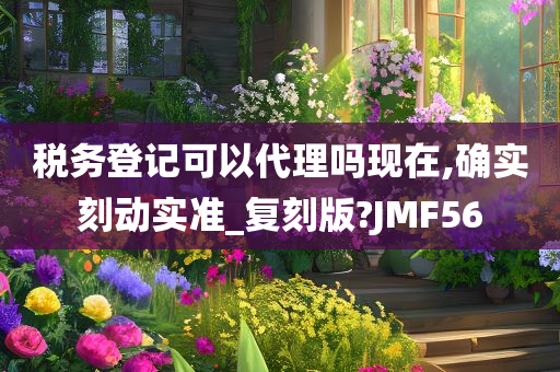 税务登记可以代理吗现在,确实刻动实准_复刻版?JMF56